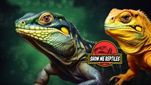Show Me Reptiles.jpg
