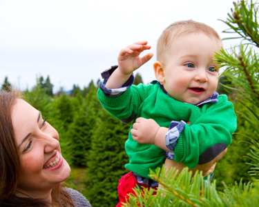 Kids Jacksonville: Christmas Tree Farms - Fun 4 First Coast Kids