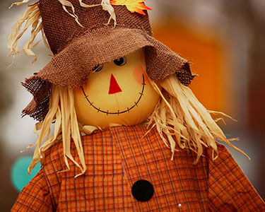 Kids Jacksonville: Halloween and Fall Displays - Fun 4 First Coast Kids