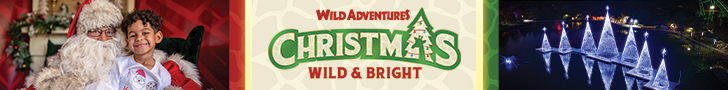 Wild Adventures Christmas 