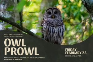 Owl Prowl.jpg