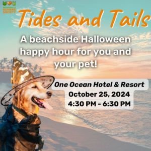 Tides and Tails Halloween.jpg