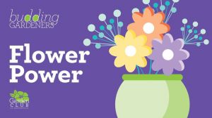 Flower Power.jpg