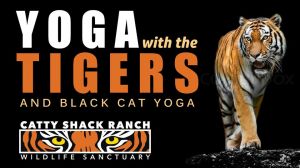 Yoga w Tigers.jpg