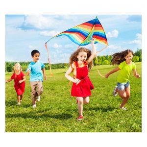 Kids Kite Adventure.jpg