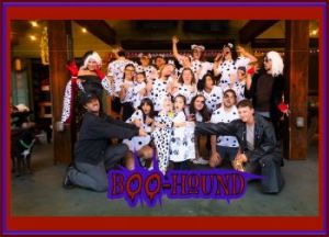 Boo Hound Halloween Party.jpg