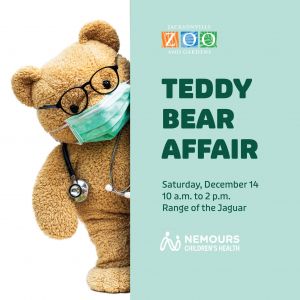 Teddy Bear Affair.jpg