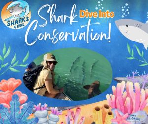 Sharks.jpg