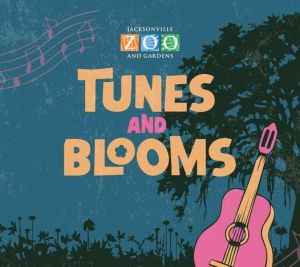 Tunes and Blooms.jpg