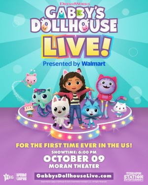 Gabby's Dollhouse.jpg