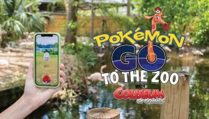Pokemon.jpg