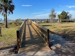 Blue Cypress.jpg