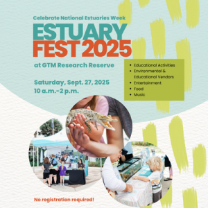 Estuary Fest.png