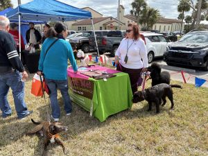 Come Schmooze and Grove