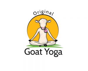 Original Goat Yoga.jpg