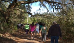 Guided Hike Ft. George Island.jpg
