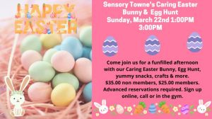 Sensory Towne Caring Bunny.jpg