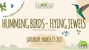 Humming Birds.jpg