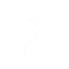 Blueberry U-Pick Farms