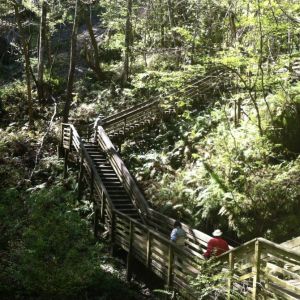 Gainesville-Devil's Millhopper Geological State Park