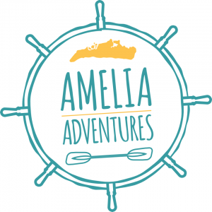 Amelia Adventures