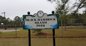 Black Hammock Island Park