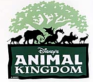 Orlando- Disney's Animal Kingdom Theme Park