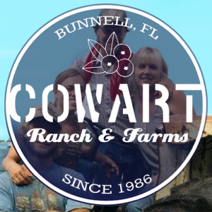 May- July: Cowart Ranch and Farms-U-Pick Blueberries
