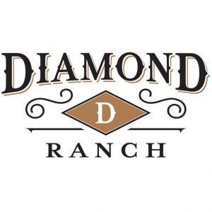 11/17-11/19: Diamond in the Rust Fall Market