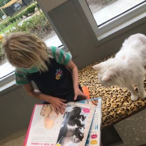 Jacksonville Humane Society Pawsitive Reading Program
