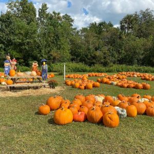10/8-10/31: Lord of Life Lutheran Pumpkin Patch