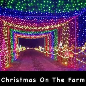 11/25-12/17: Christmas on the Farm at Sykes Family Farms