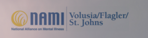 ​The National Alliance on Mental Illness (NAMI)-Volusia, Flagler, St. Johns