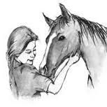Horse Sense and Sensitivity