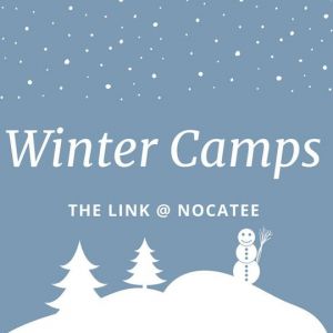 Link, The Winter Camps