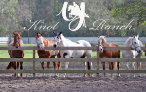 Y Knot Ranch of Jacksonville