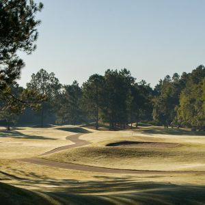 Golf Club of Jacksonville
