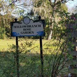 Willowbranch Rose Garden Park