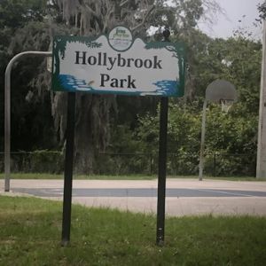 Hollybrook Park & Playground