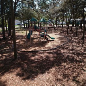 Tall Pines Park & Playground