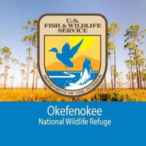 Georgia-Okefenokee National Wildlife Refuge