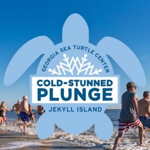 11/30: Cold-Stunned Plunge