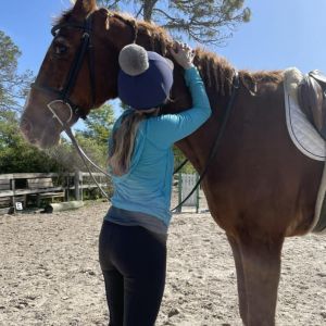 Red Horse Hugs Equine Assisted Therapy