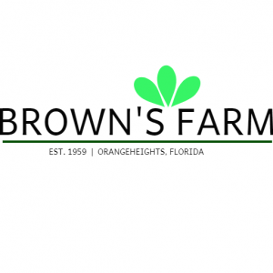 March-April: Brown's Farm-U-Pick Strawberries
