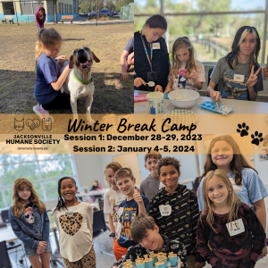 Jacksonville Humane Society Winter Break Camp