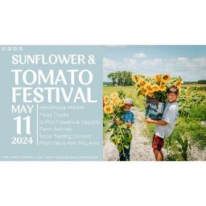 05/11: Wesley Wells Farm Sunflower and Tomato Festival