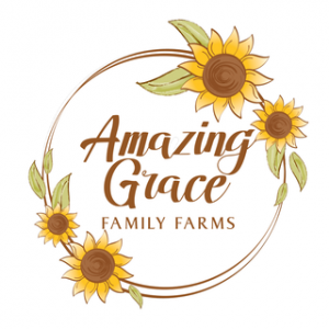 05/04- 05/25: Amazing Grace Family Farm Sunflower Festival