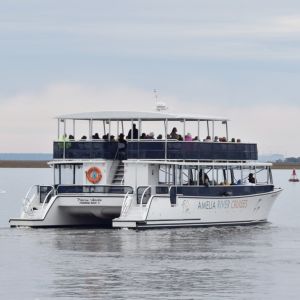 Amelia River Cruises & Charters