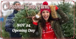 11/24: Christmas Tree Farms