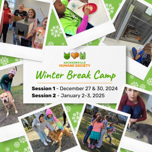 Jacksonville Humane Society Winter Break Camp